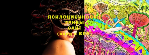 дурь Аркадак