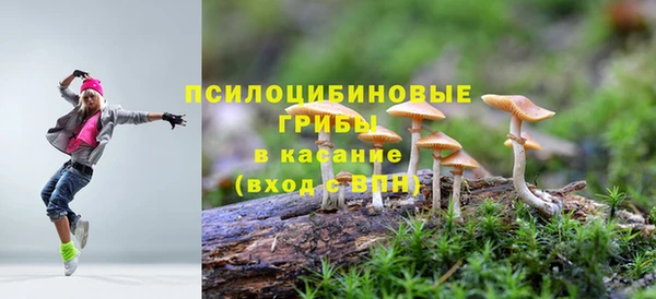 дурь Аркадак