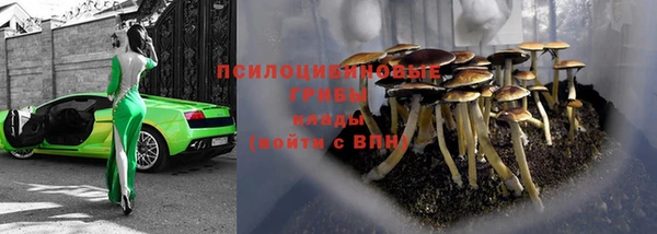 дурь Аркадак