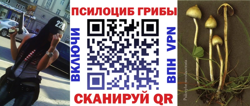 Галлюциногенные грибы ЛСД  сколько стоит  Каргополь 